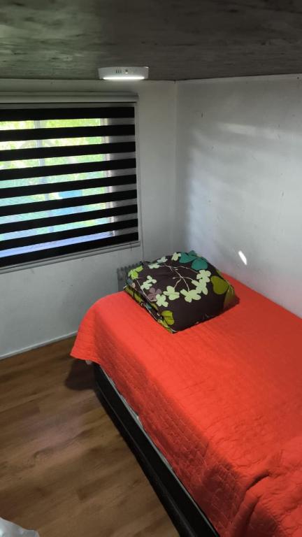 Hospedaje en Parque Nacional Alerce andino - 2