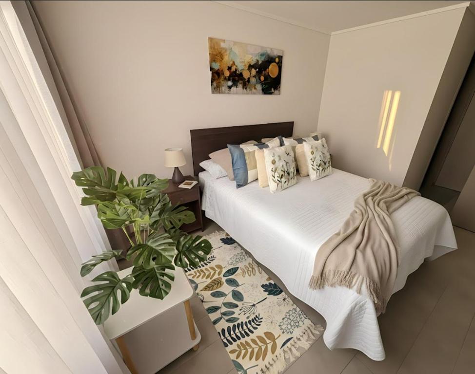 Ñuñoa I 1H1B I Metro Irarrazaval - 2