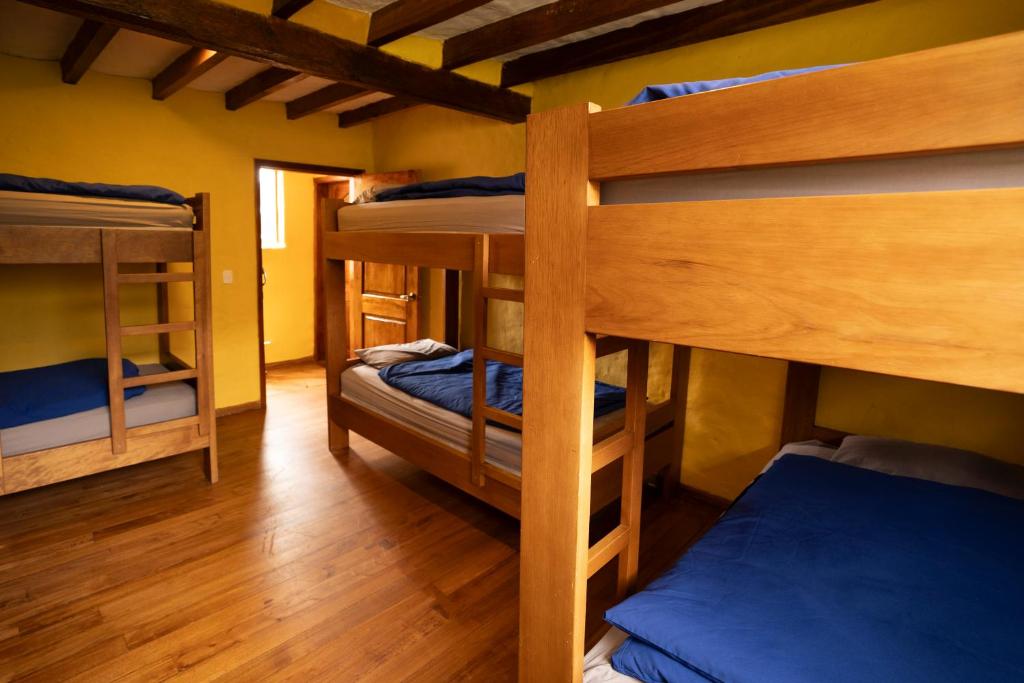 Tambopaxi Lodge - 4