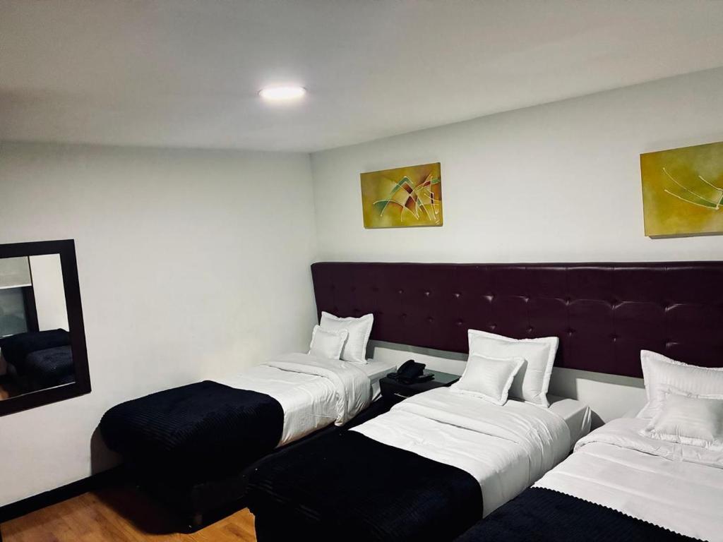 Nova Hotel Bogota - 4