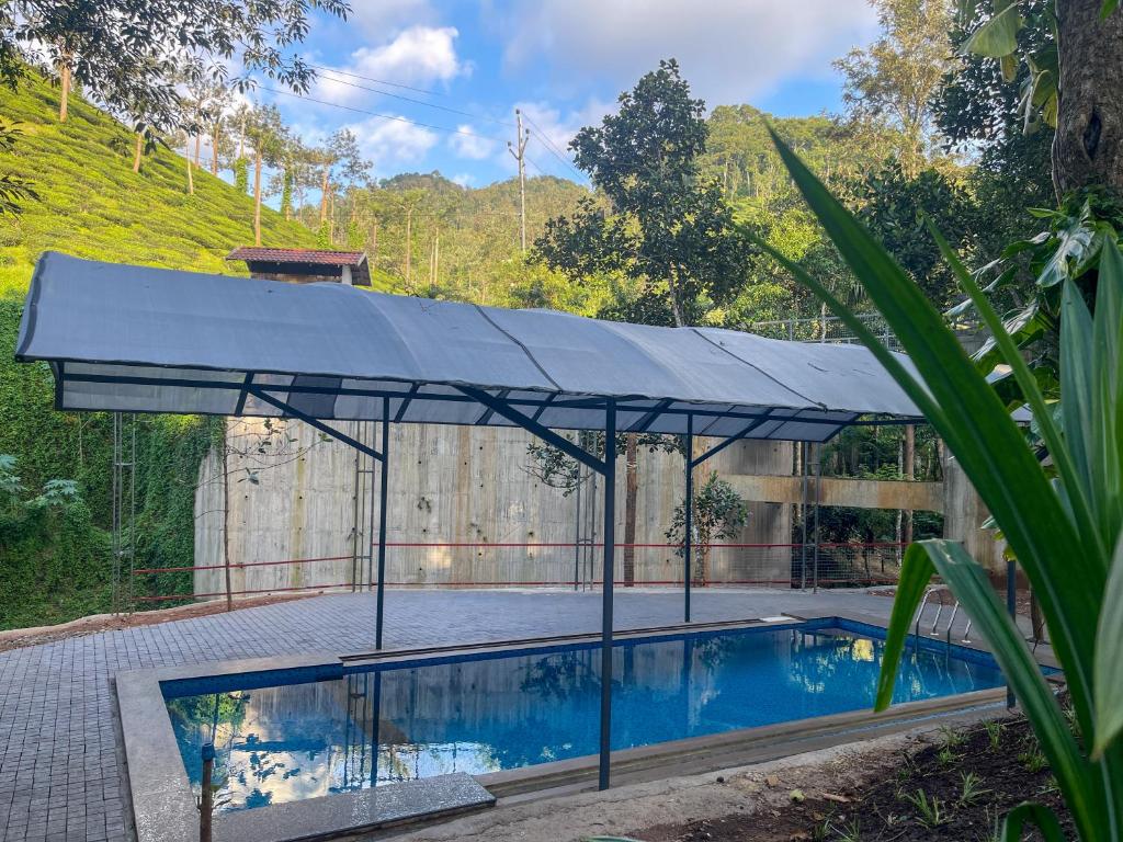 スイミングプール