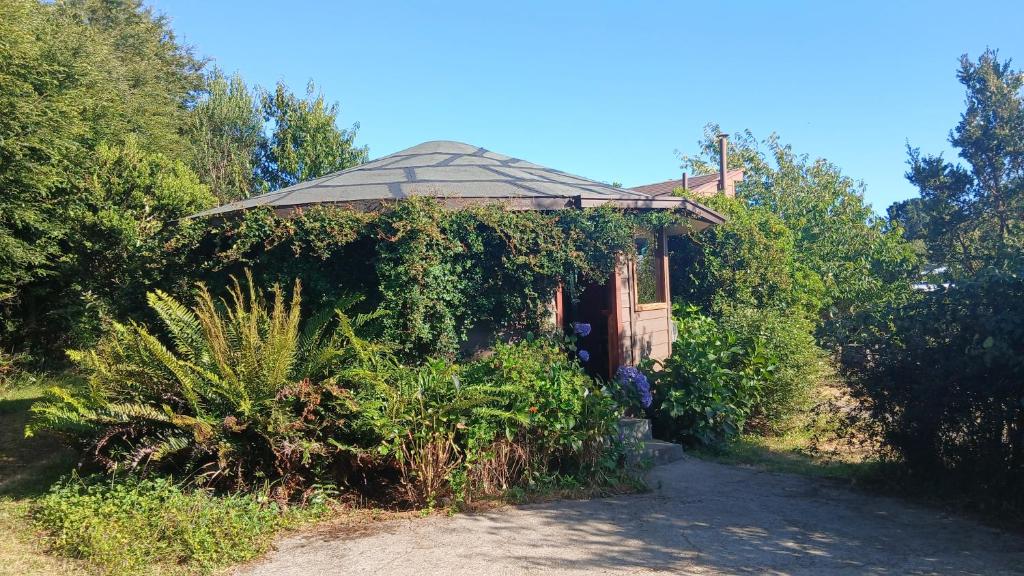 Rústico Punucapa - 5