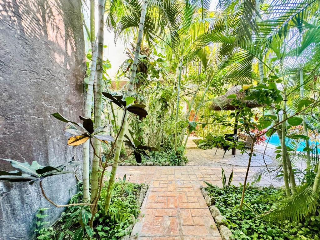 Casa Guadalupe - 3