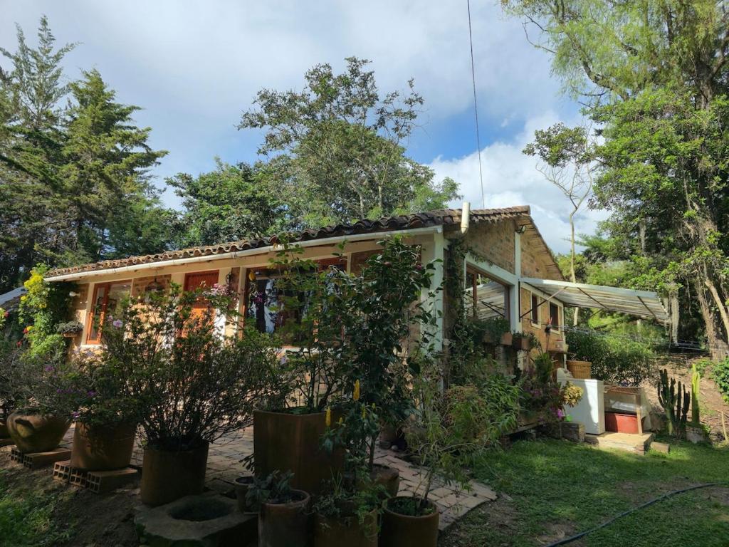La casa de los abuelos - 3