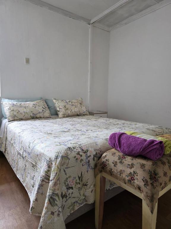 Habitacion Centro de Punta Arenas - 2