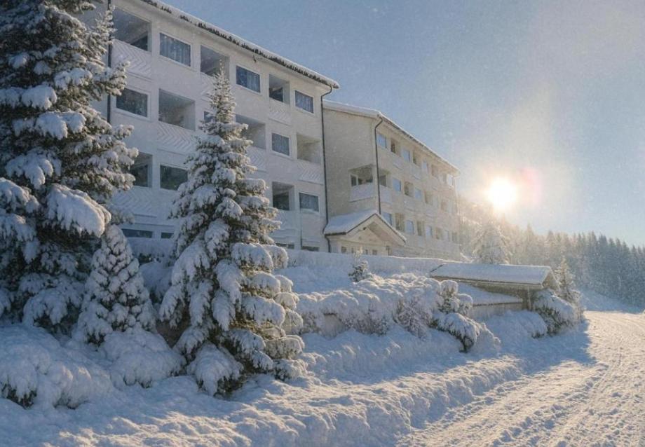 Grifone Dolomiti Residences - 3