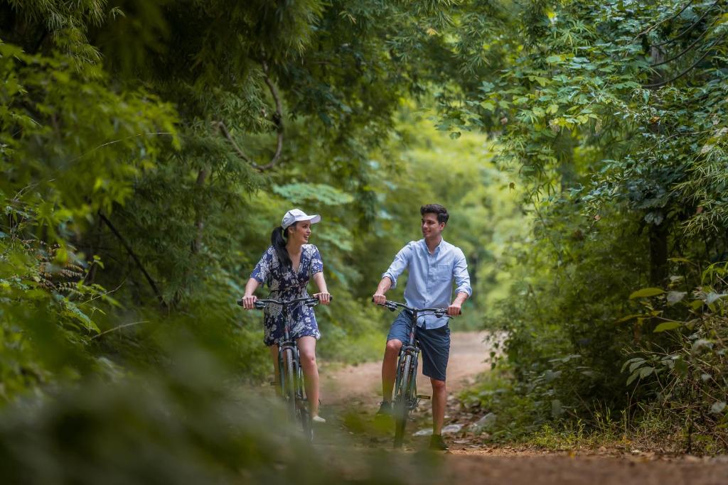 กิจกรรม