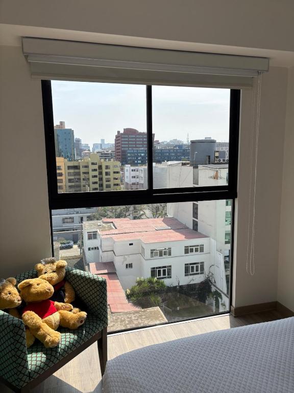 Beautiful brand new apartment for rent - 4
