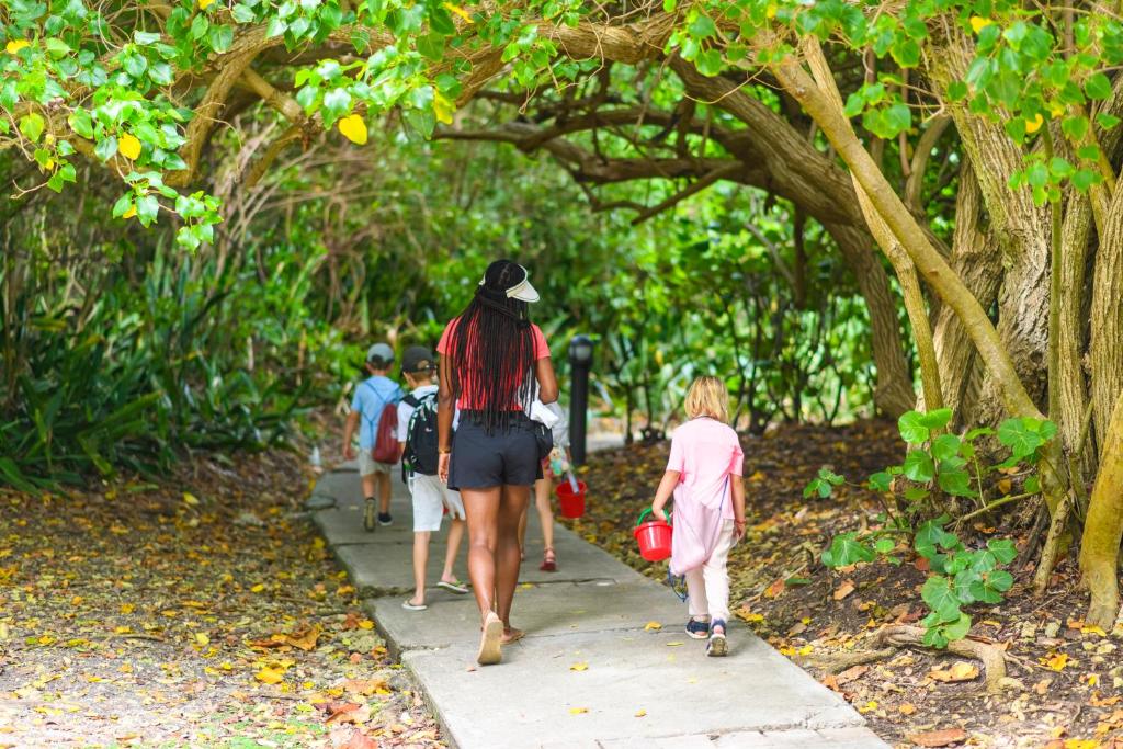 Surrounding environment