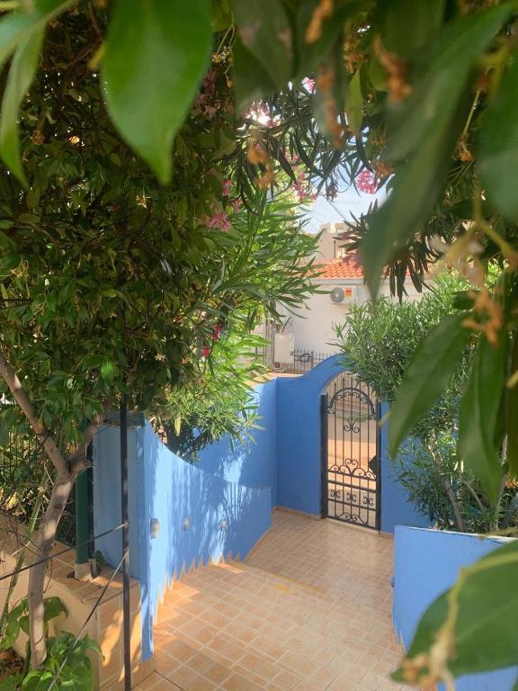 Maroccana - 2