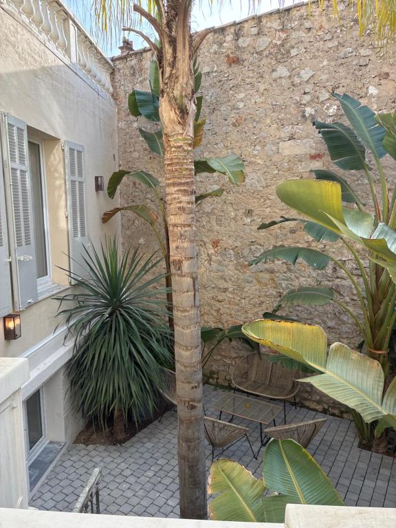 Villa les Fougeres Studio jardin - 5
