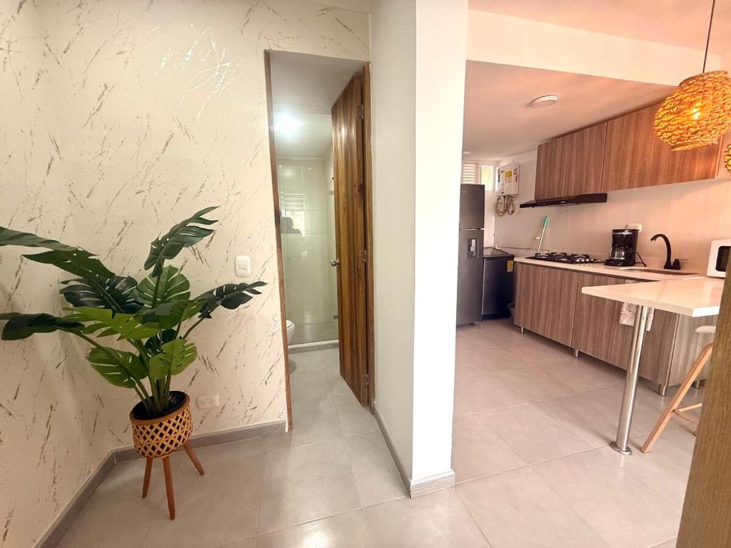 Hermoso Apartamento con vista al mar - 5