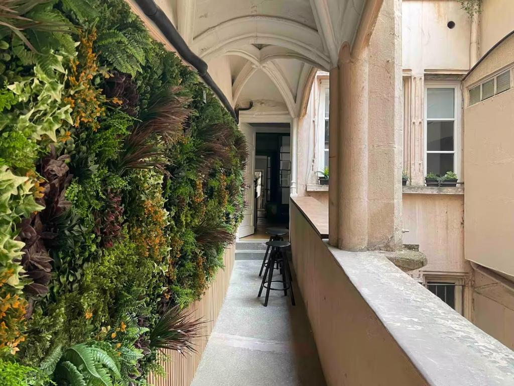 Rue Mercière, Terrasse, Hypercentre, Lyon - 1