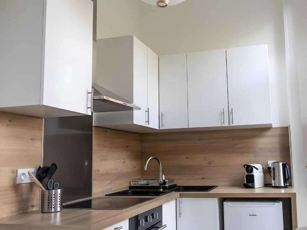 Bel appartement avec jardin privé - Reims Centre - 5