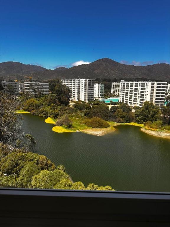 Arriendo Departamento Papudo - 1