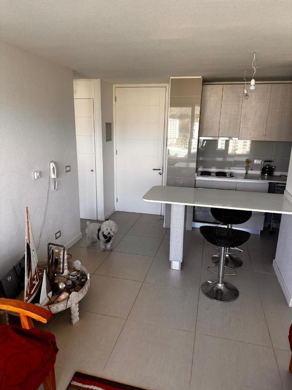 Arriendo Departamento Papudo - 4