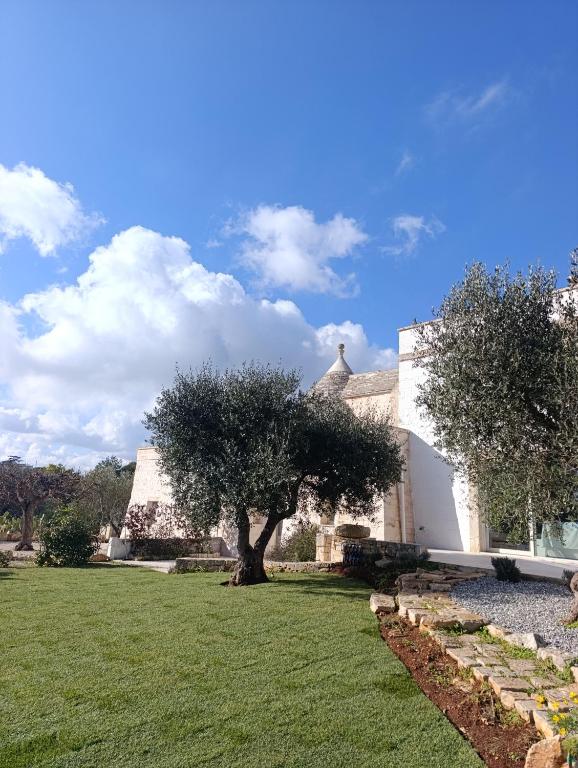 Trulli Abate Mauro - 2