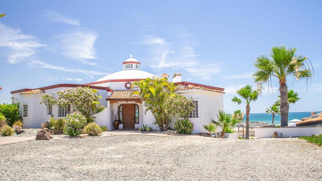 El Perico Bizco - 1