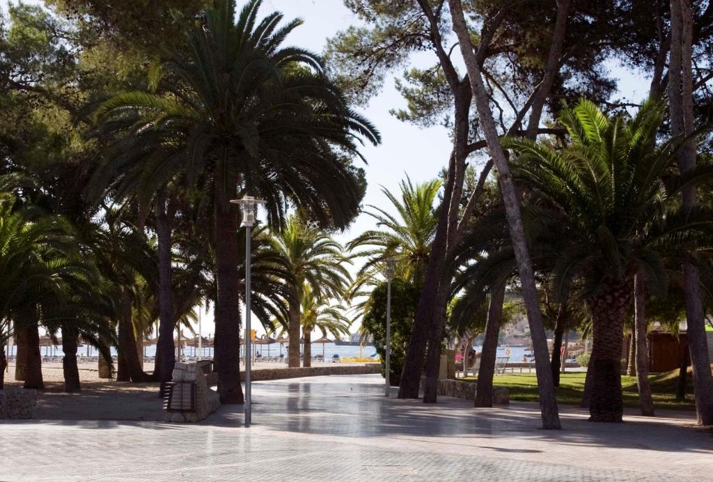 Globales Panamá - Adults Only — Palma Nova, Balearic Islands