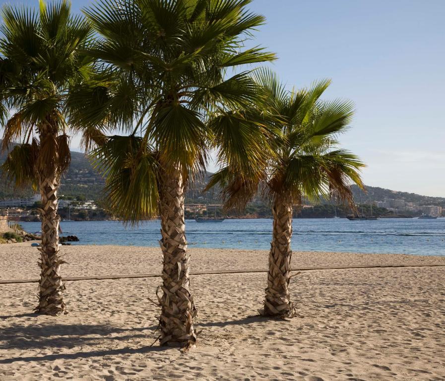 Globales Panamá - Adults Only — Palma Nova, Balearic Islands