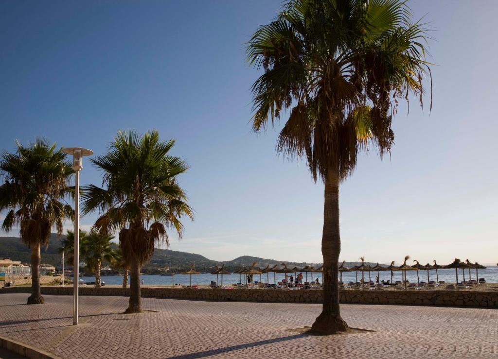 Globales Panamá - Adults Only — Palma Nova, Balearic Islands