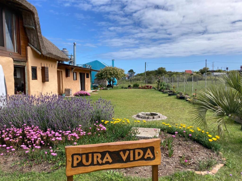 Pura Vida - 2