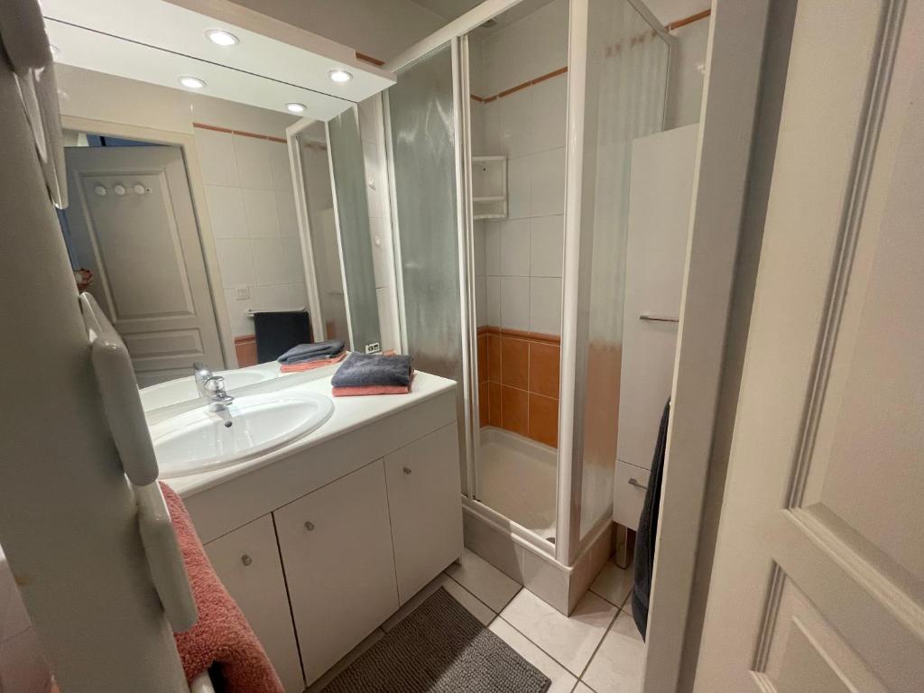 T3 confortable et lumineux hypercentre - 5