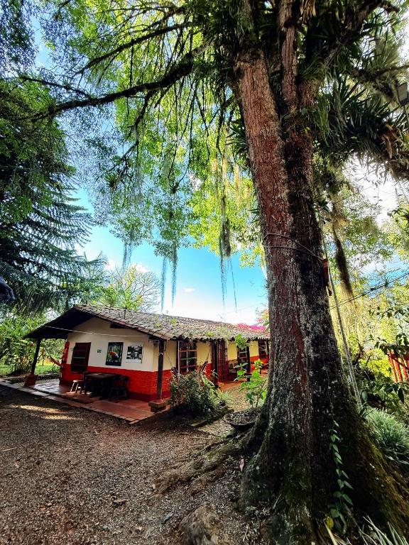 Casa y Glamping, 14 personas, Ideal familias con niños, traquilidad y descanso - 3