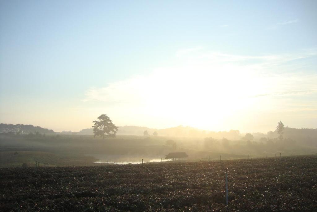 Surrounding environment