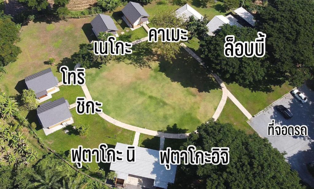 Ảnh 5