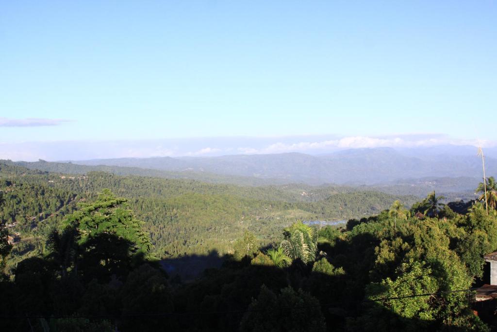 Surrounding environment