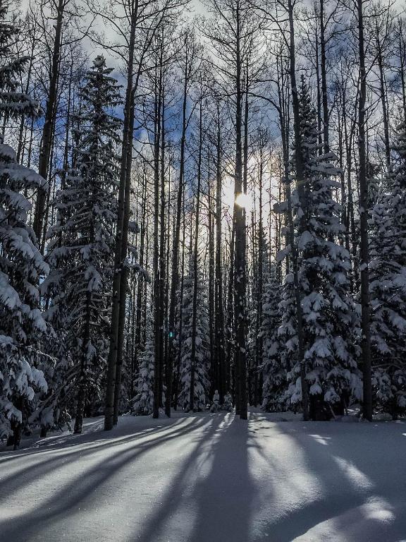 Arrowhead Mountain Lodge photo