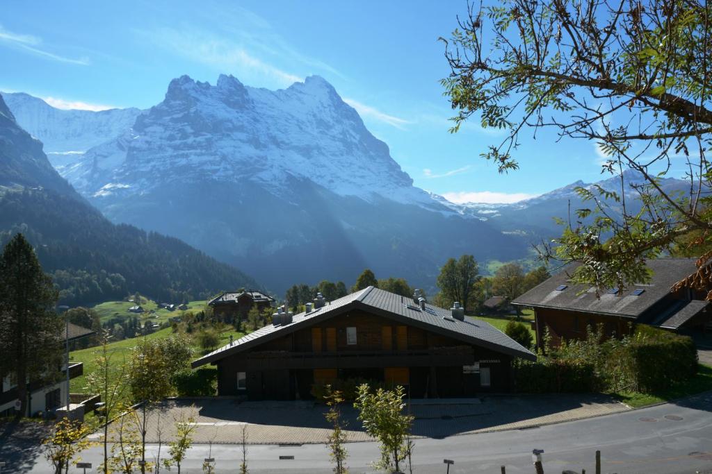 Apartment Schonegg - GRIWA RENT AG photo