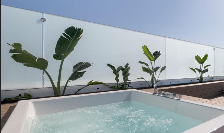 FERGUS Style Tobago - Adults Only — Swimming pool in Magaluf, Balearic Islands