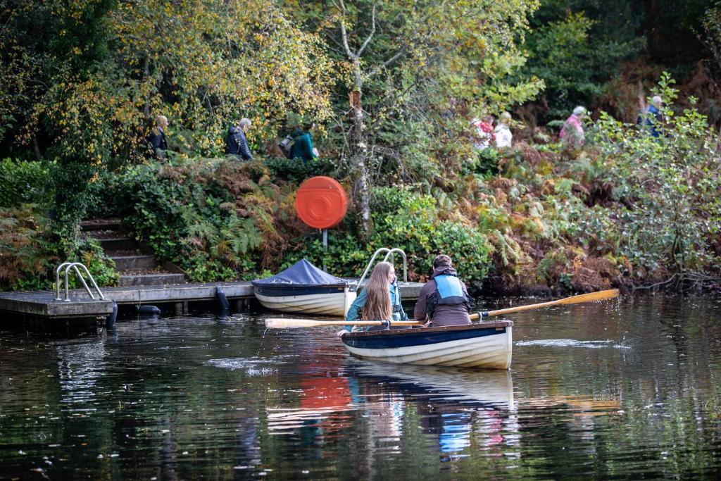 Surrounding environment