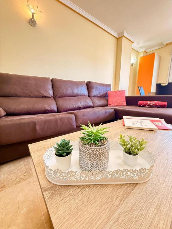 Large Apartment with Sea Views & Terrace - 5