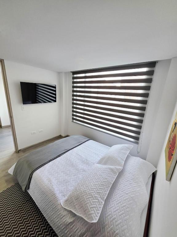 Apartamento Monociclo - 3