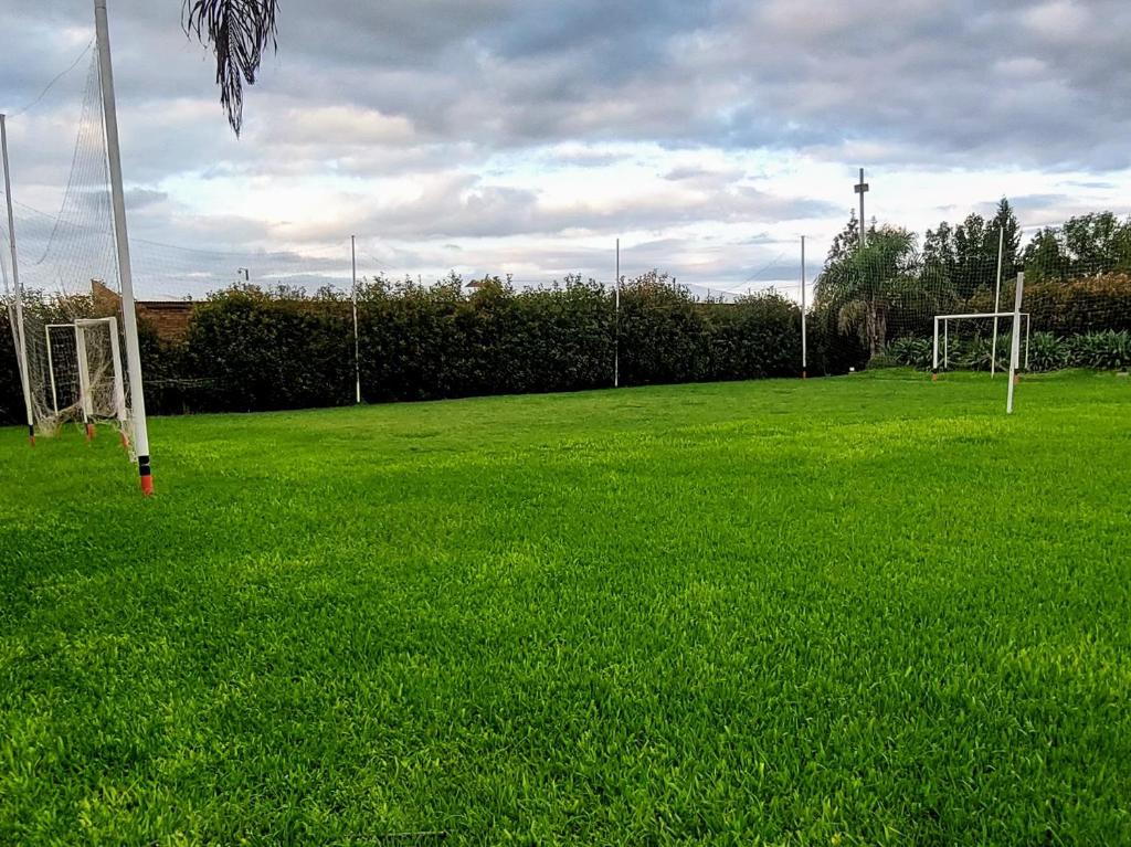 Los Sapitos - 4