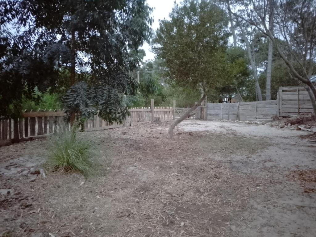 La Dominga - 5
