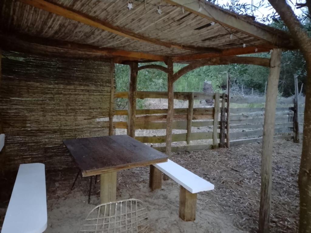 La Dominga - 4