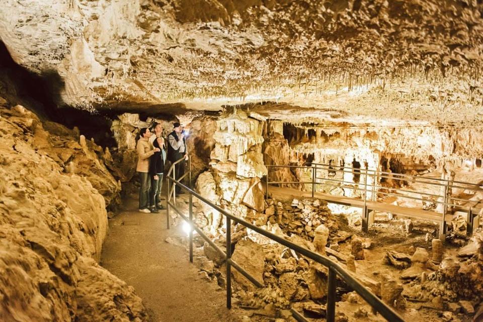 アクティビティ