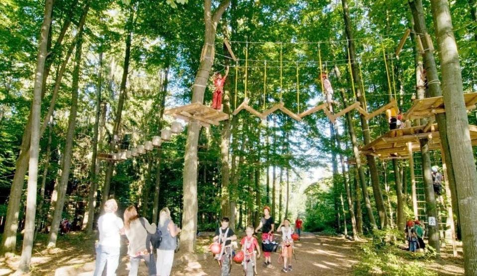 アクティビティ