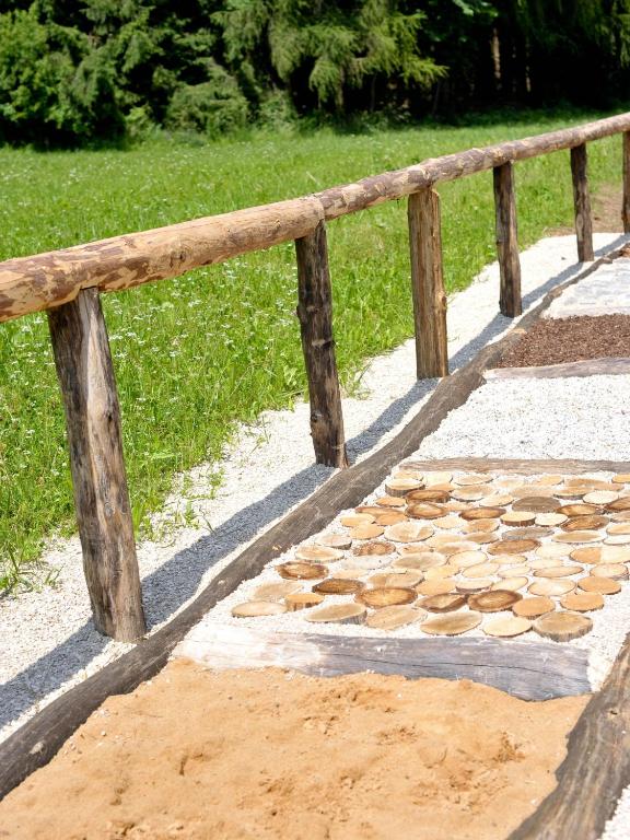 アクティビティ