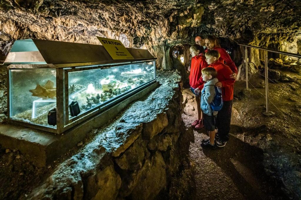 アクティビティ