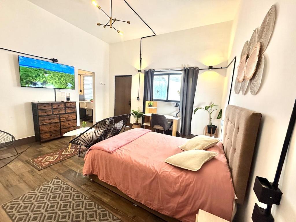 Large, well-lit apartment 4 - 3