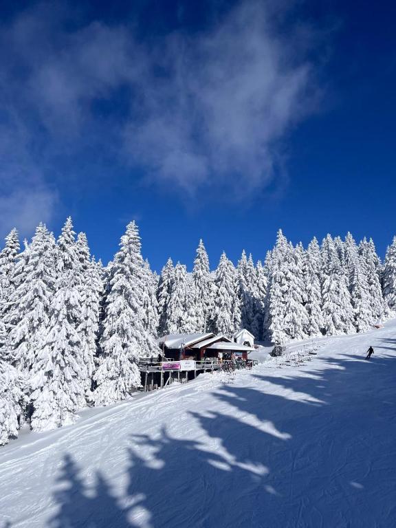 Kopaonik Alibi25 - 2