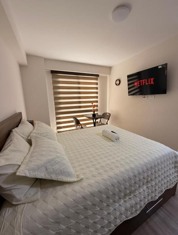 Suite Bonito SC0n Garant1a - 5
