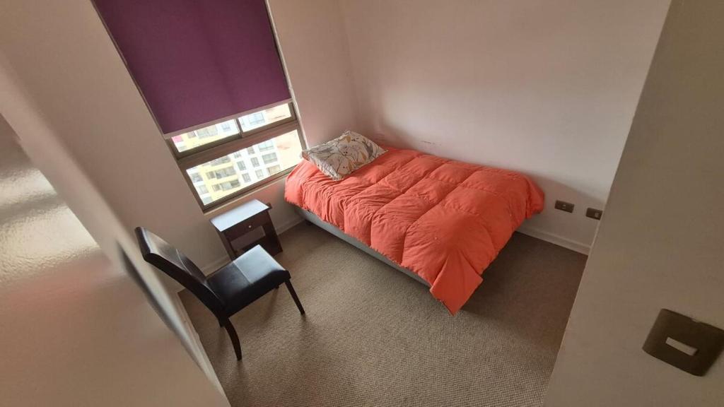 Pro Home Martinica - Cerro Paranal - 3