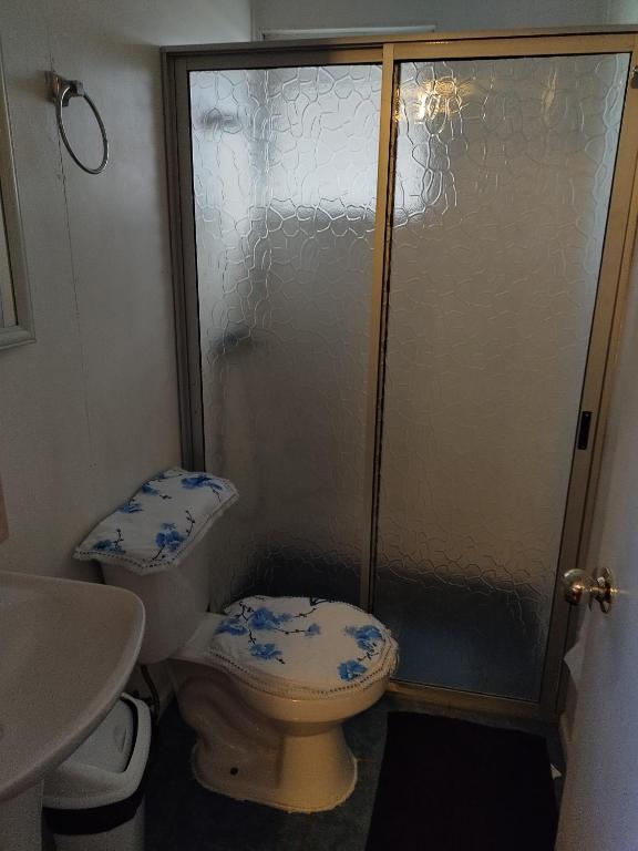 Casa x Día en Villarrica - 4