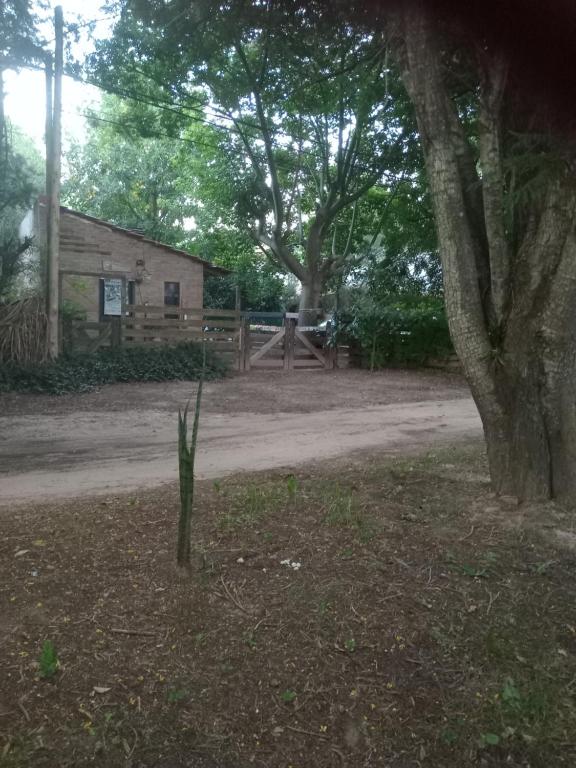 Alojamiento La Sombra del Benteveo - 3